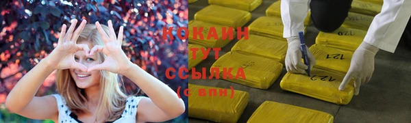 первитин Михайлов