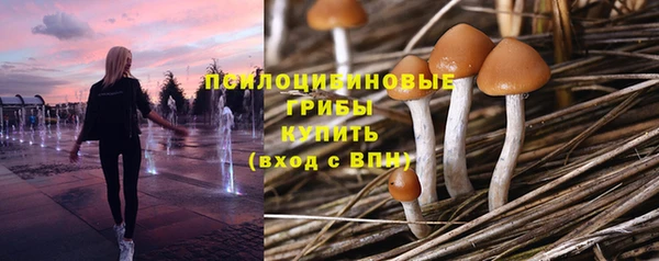 первитин Михайлов