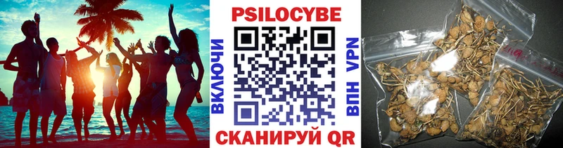 Псилоцибиновые грибы прущие грибы  Карачев 